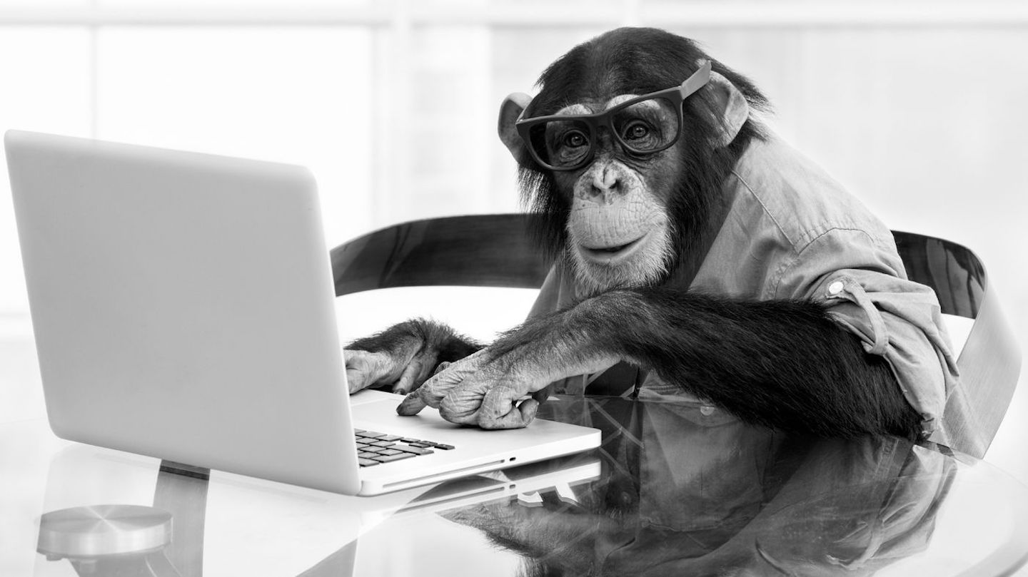 Kan een aap ook een weblog maken?