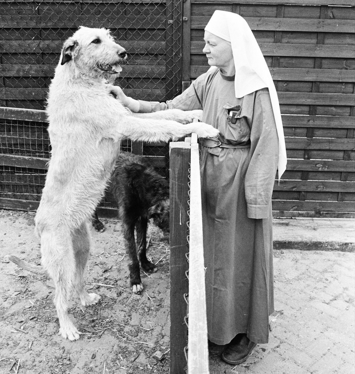 Zuster Estella, hondenfokker met één arm